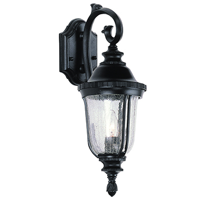 Trans Globe Lighting 4020 BK 1 Light Coach Lantern in Black